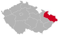 Gos d'Atura Catalá criador em Moravia-Silesia,MO, Moravskoslezský kraj, Região da Morávia-Silésia